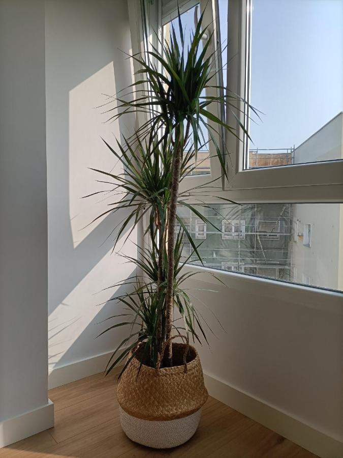 Precioso Apartamento Nuevo Centrico En Santander Esterno foto